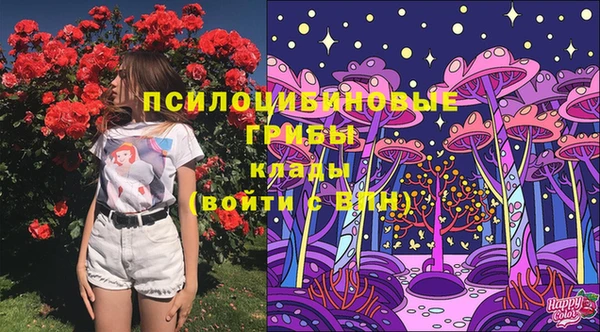 соль курить ск Краснослободск