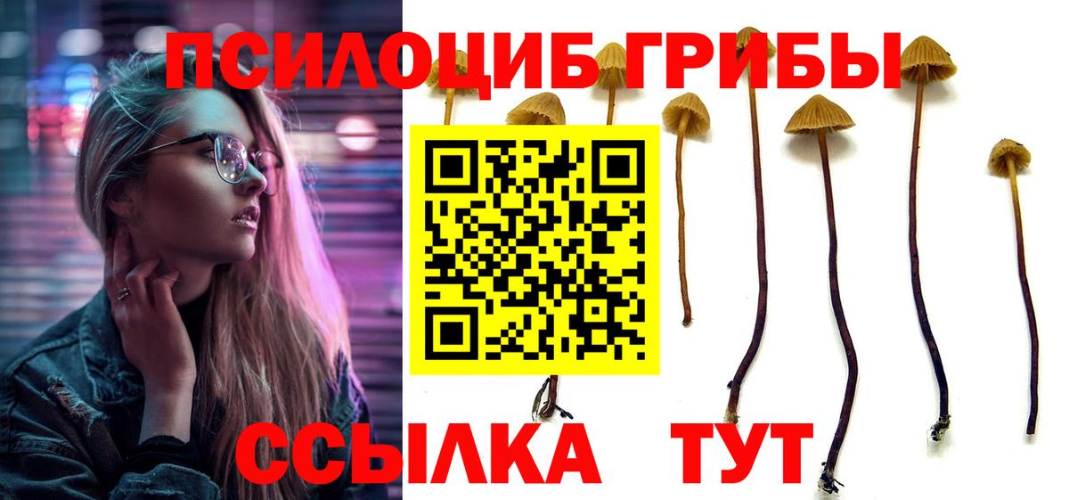 Псилоцибиновые грибы GOLDEN TEACHER Железноводск